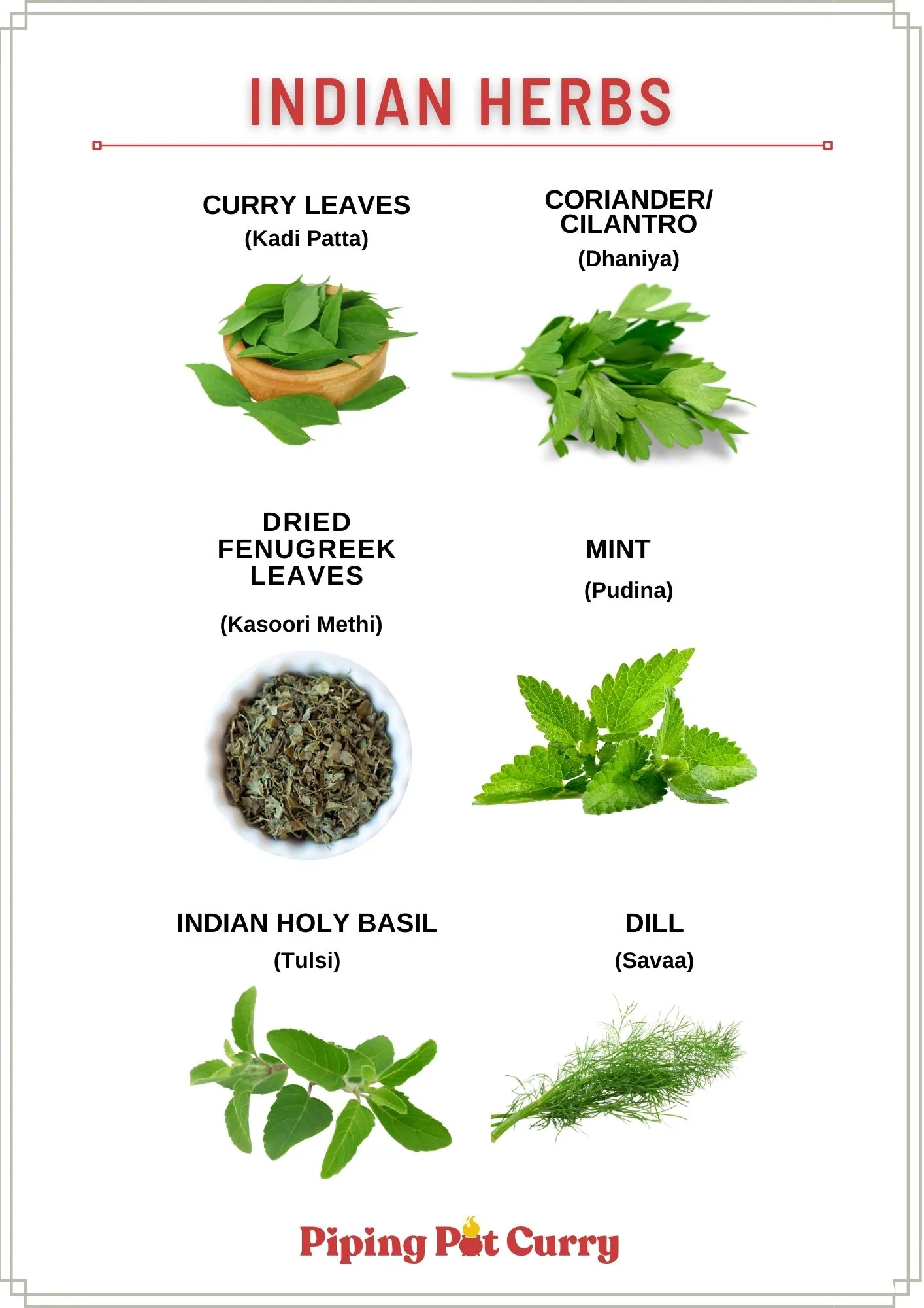 Indian Spices and Herbs