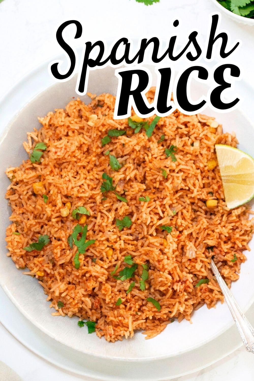 Hispanic Rice Cooking Pot Easy Instant Pot Spanish Rice (Mexican Rice) - Piping Pot Curry
