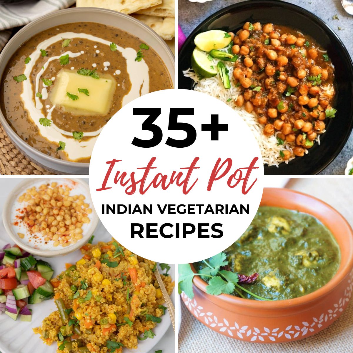 35+ Best Instant Pot Indian Vegetarian Recipes