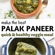 Palak Paneer