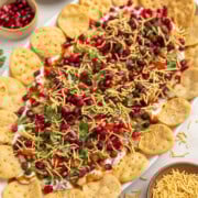 Homemade chaat platter with sev, cilantro and pomegranate seeds on top