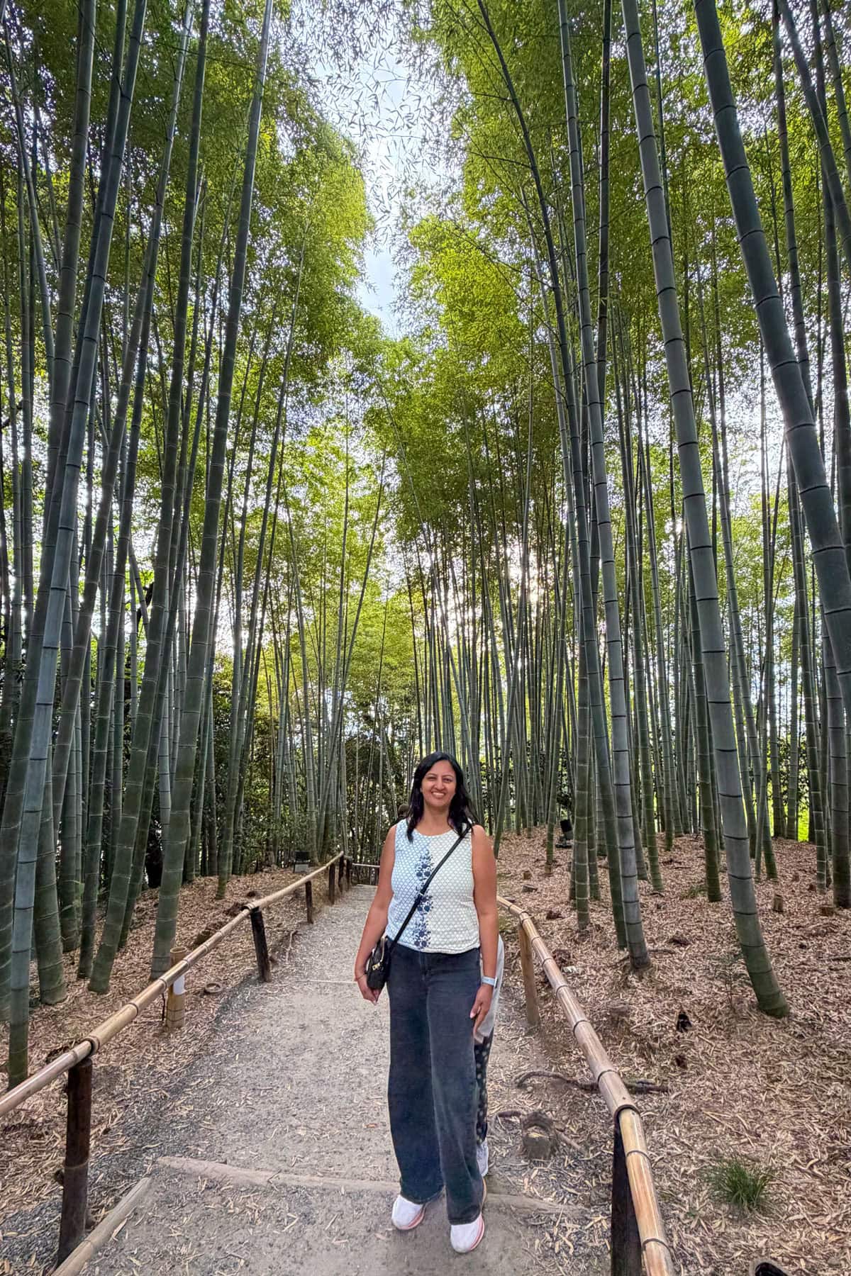 Bamboo Forest