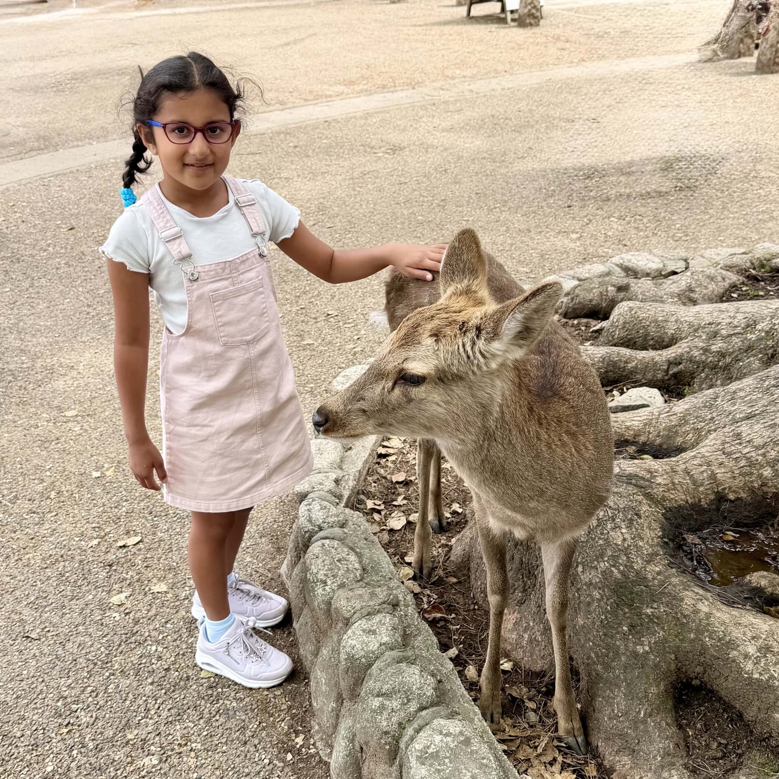 Little girl touching deer at Nara park