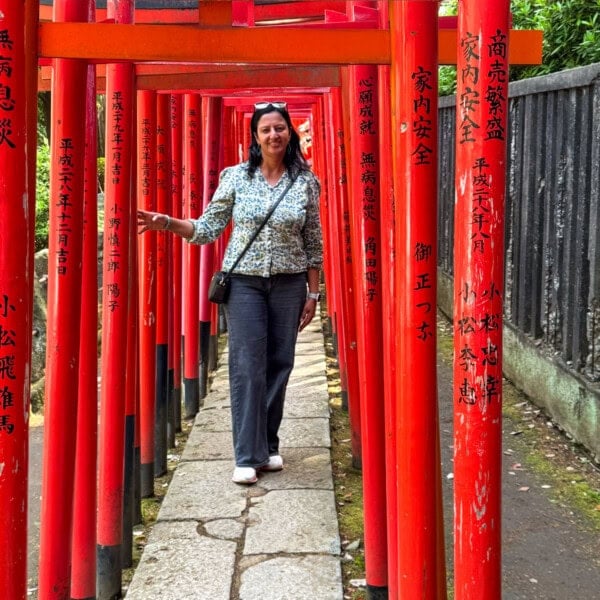 Tori gates in Nezu shrine Japan